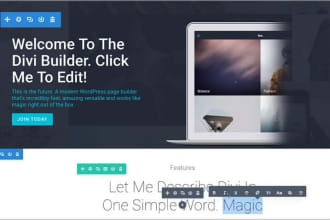 do a beautiful layout in divi builder
