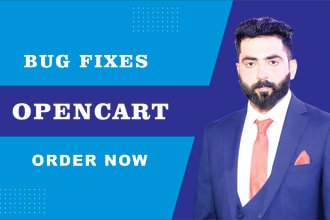 customize, upgrade, fix any issue in opencart
