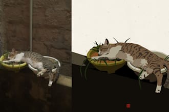 draw illustrations from your photos