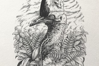 create super artistic line art illustration