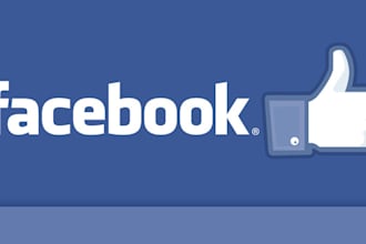 add 5000 likes to your facebook fanpage within 24 hour without admin access