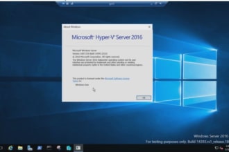 window servers and network support