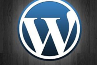 help you with Wordpress