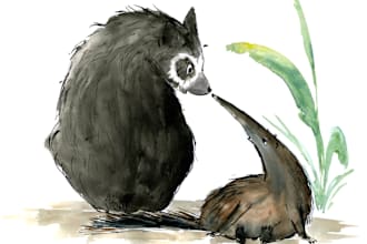 illustrate your childrens book or picture book