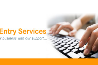 be your virtual assistant for data entry