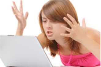set install and activate 3 worpress themes