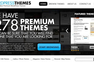develop your website design in wordpress or re design with new theme