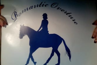 create a custom vinyl sticker of just about anything you want