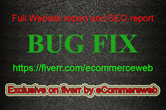 provide you, your whole website and SEO report