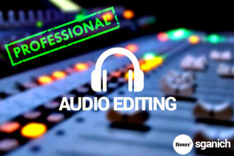 perform professional audio editing or noise reduction