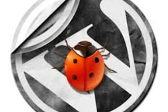 clean your wordpress hacked site