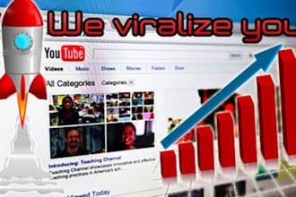 give you 1000 HR views to your video