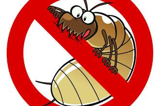 fix your html,css,php,asp,wordpress bugs