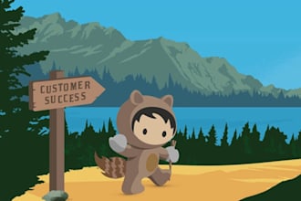 provide salesforce offshore development up to 4 hours