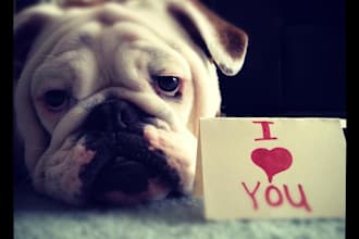 take a picture of my female bulldog with your message