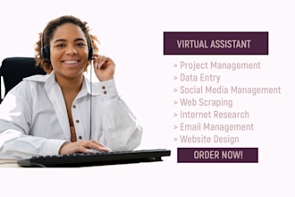 be your professional virtual assistant your long term VA
