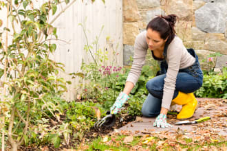 publish a guest post on my gardening blog