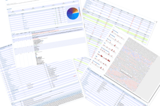 do complete SEO Audit Report