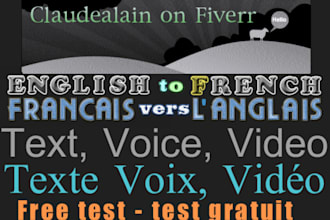 translate one page of your website in REAL selling French