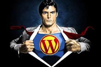 fix Your Wordpress html css and php Bugs