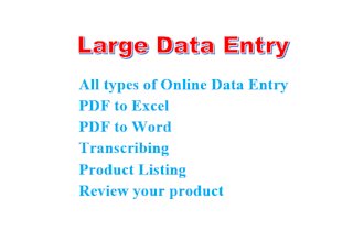 complete all types of large data entry works