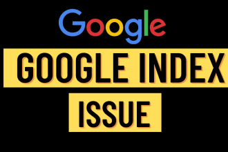 fix google index problems and wordpress issue