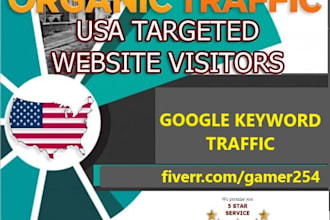 deliver USA google keyword web traffic