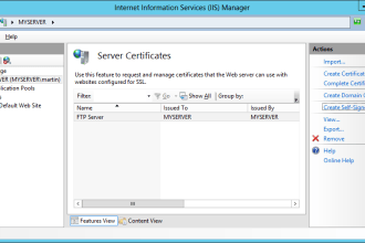 install and configure ftp server in windows platform