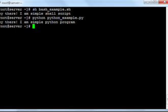 write custom scripts for you in shell or python