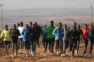 write a run training log