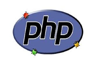 solve php website issues