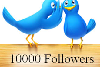 give you 10000+ twitter follower less than 24 hours without admin access