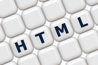 create a basic static or dynamic web page or application