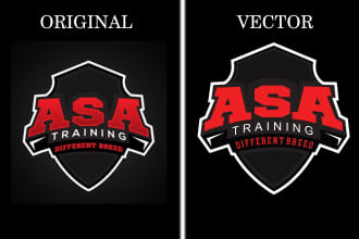 vectorize your image with in 5 hours