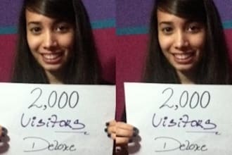 provide 2000+ REAL and Unique human visitors to your website