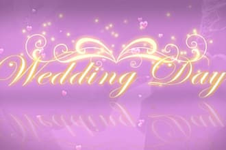 do video of your wedding photos or video