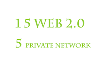 create backlinks from 15 Web 2,0 Properties and 5 private blog network with high pr domain to your site