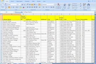complete any type of Data Entry work, 3 hours