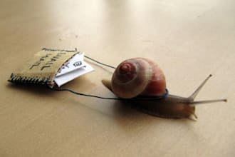 send you, a sweet letter, birthday card, fun mailed thing