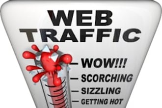 send you 5000 real human visitors to your website in 10 days