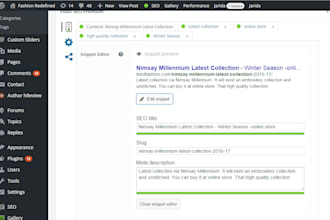 professionally perform Complete On Page SEO