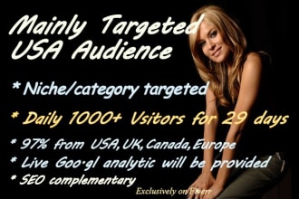 niche and USA targeted real traffic, visitors