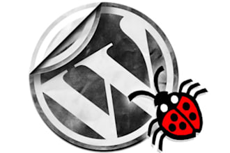 design, develop, configure and setup everything for your wordpress website