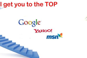 create 2000 backlinks for you in my High Pr private C Class IP blog network of 5k domains