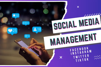 be your social media manager