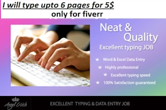 do Excellent Professional Typing Job