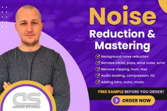 professionally perform noise reduction on your audio files
