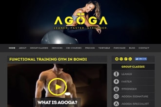 create responsive wordpress website design or wordpress blog