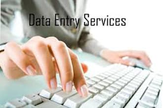 do any type MS Word Excel work24hr