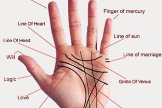 do accurate palm reading and tell about future